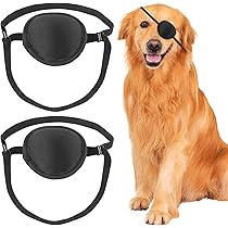 vez eye’s/pain/oneself/4 81J4HrrUHxL._AC_UF894,